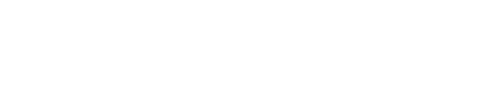 반전형 시그니처